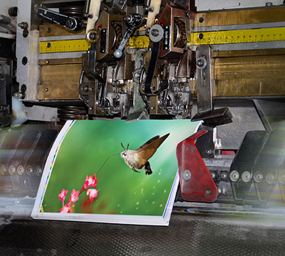 Offset press at Arun Art Printers, Mumbai, with a freshly printed sheet coming off the cylinder