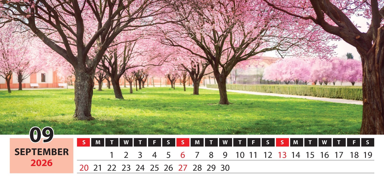 Panaromic Views thumbnail 10