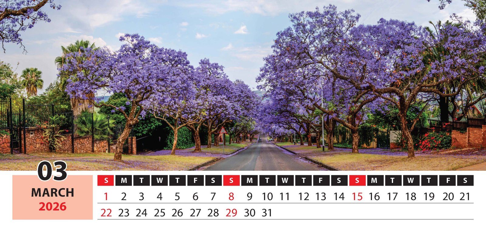 Panaromic Views thumbnail 4