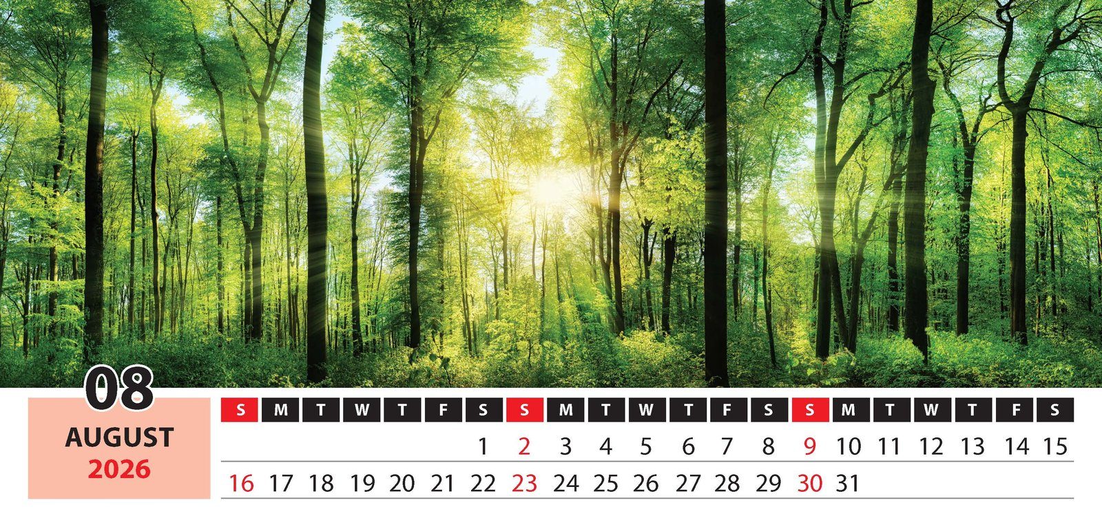 Panaromic Views thumbnail 9