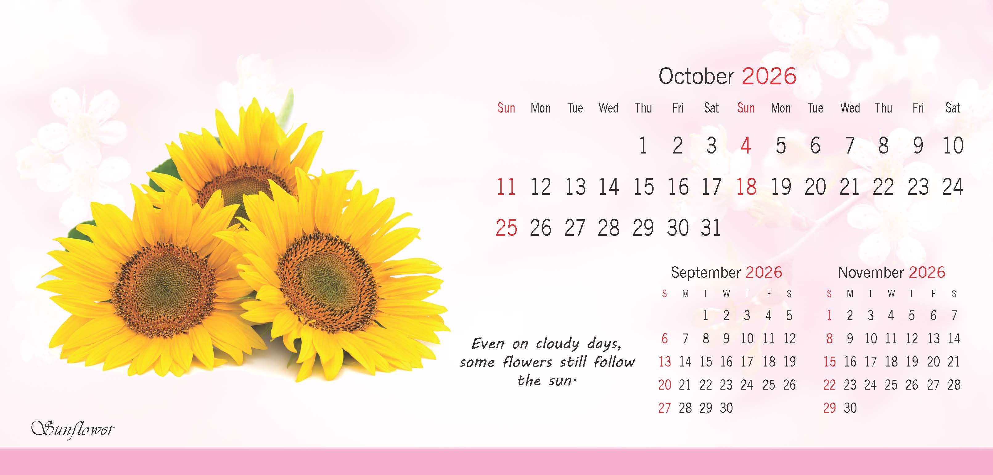 Flowers thumbnail 11