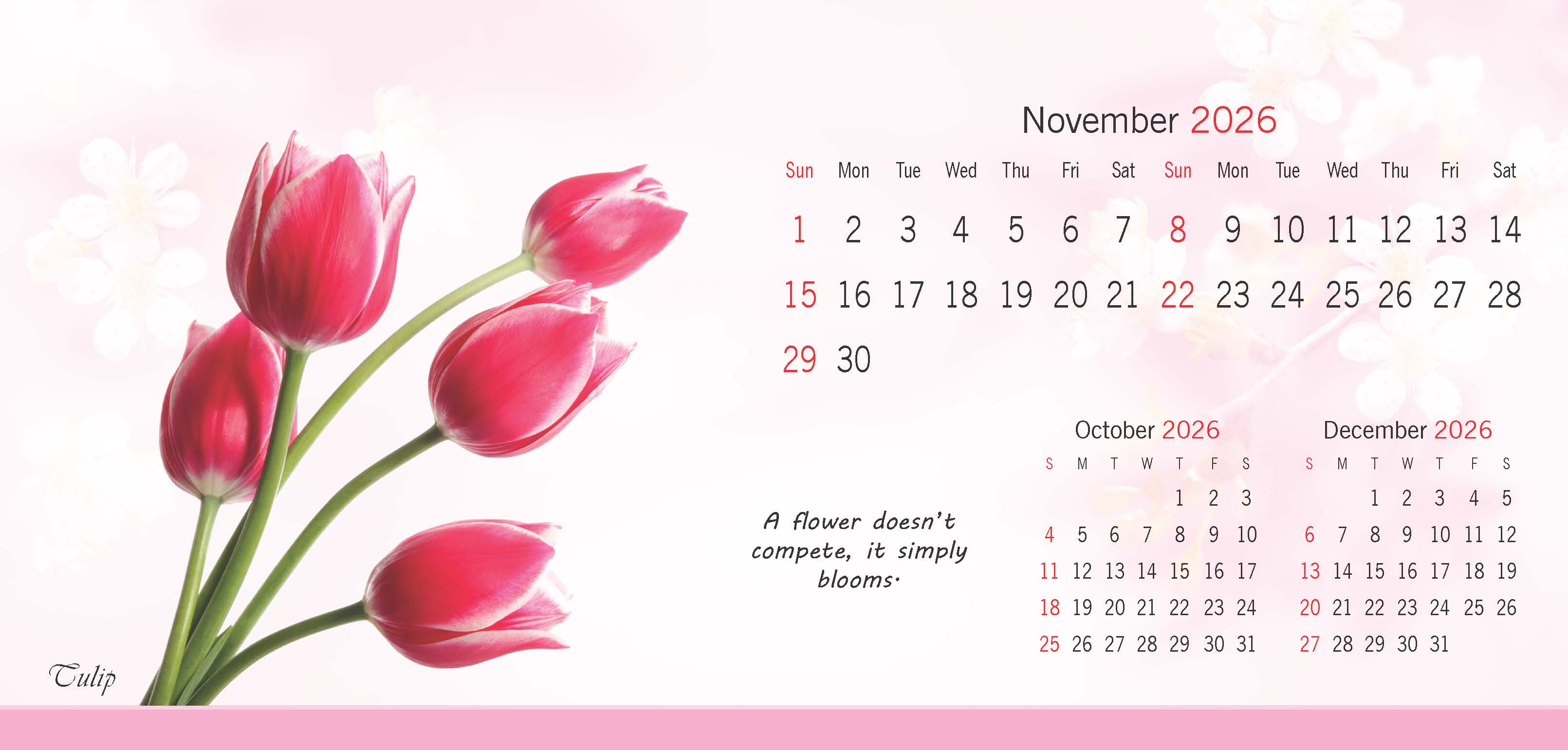 Flowers thumbnail 12