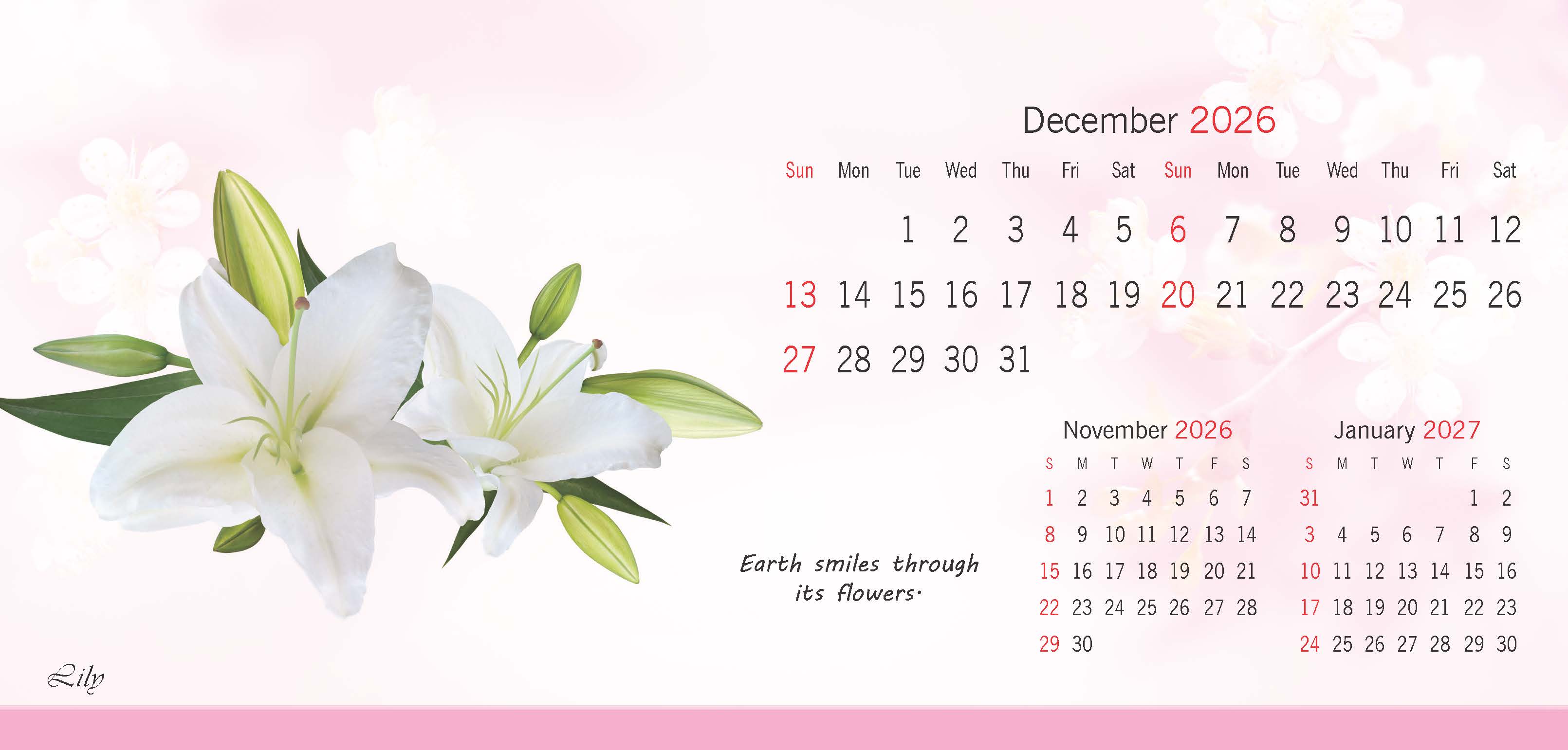 Flowers thumbnail 13