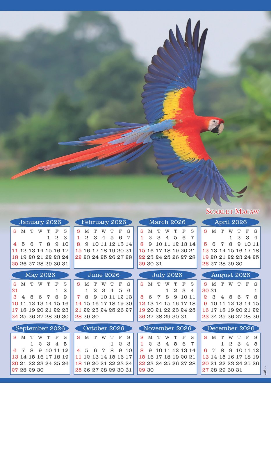 Birds Wall Calendar