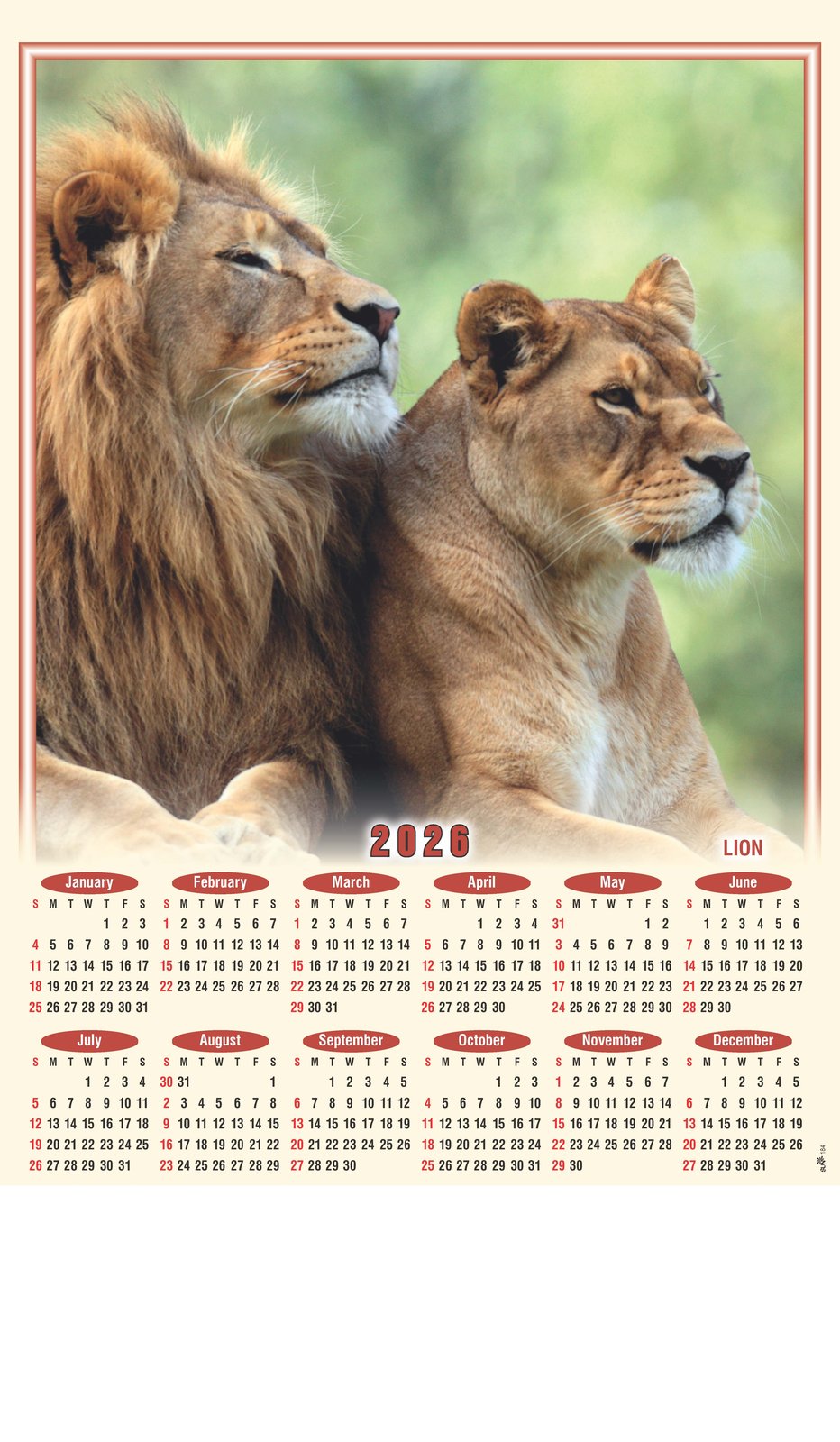 Safari Animals - Lion Wall Calendar