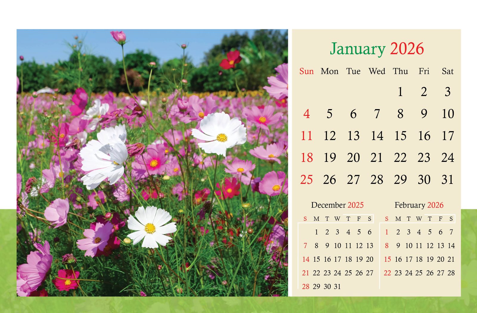 Floral fantasies thumbnail 2