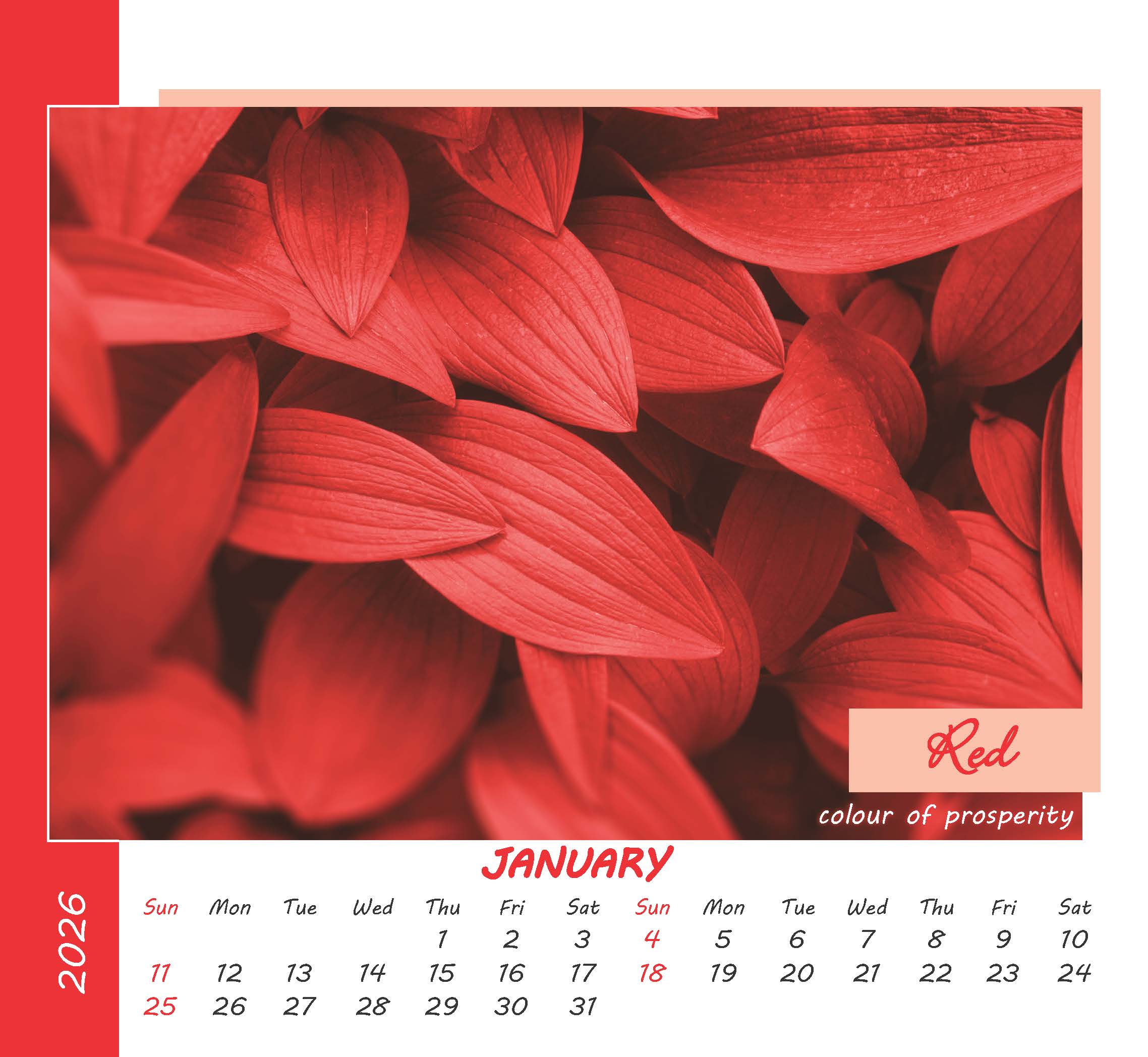 Colours of Life thumbnail 2