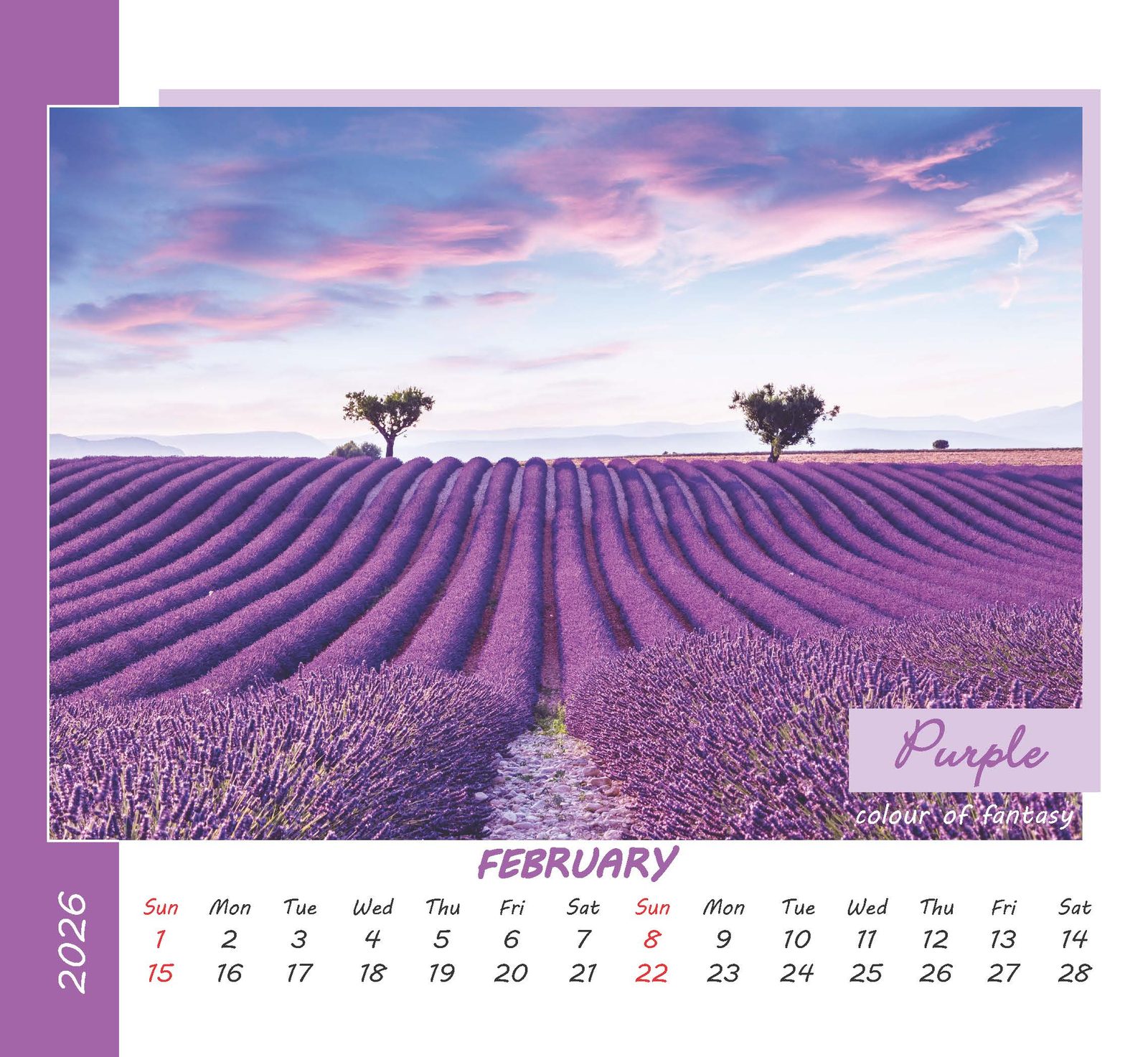 Colours of Life thumbnail 3