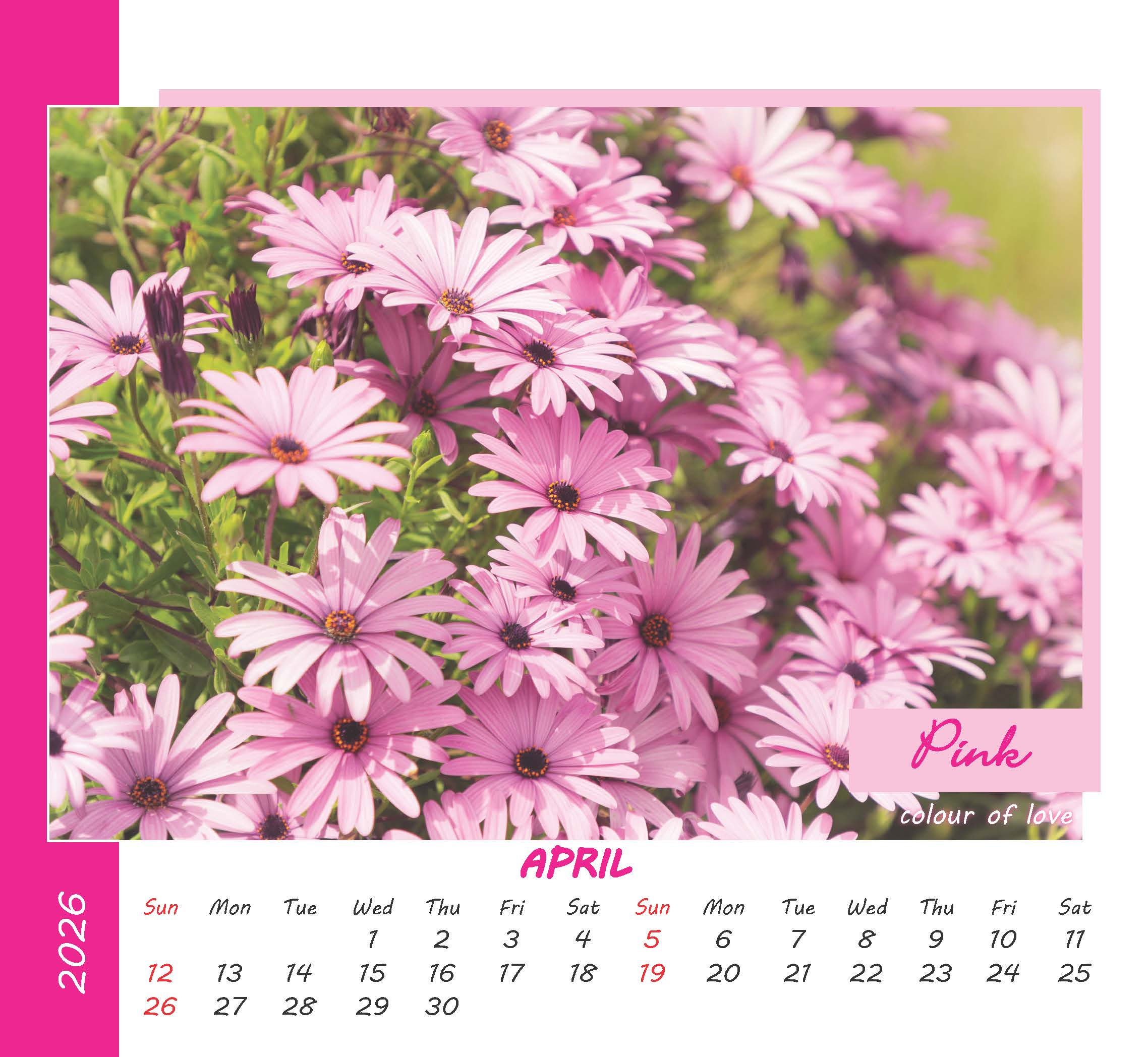 Colours of Life thumbnail 5