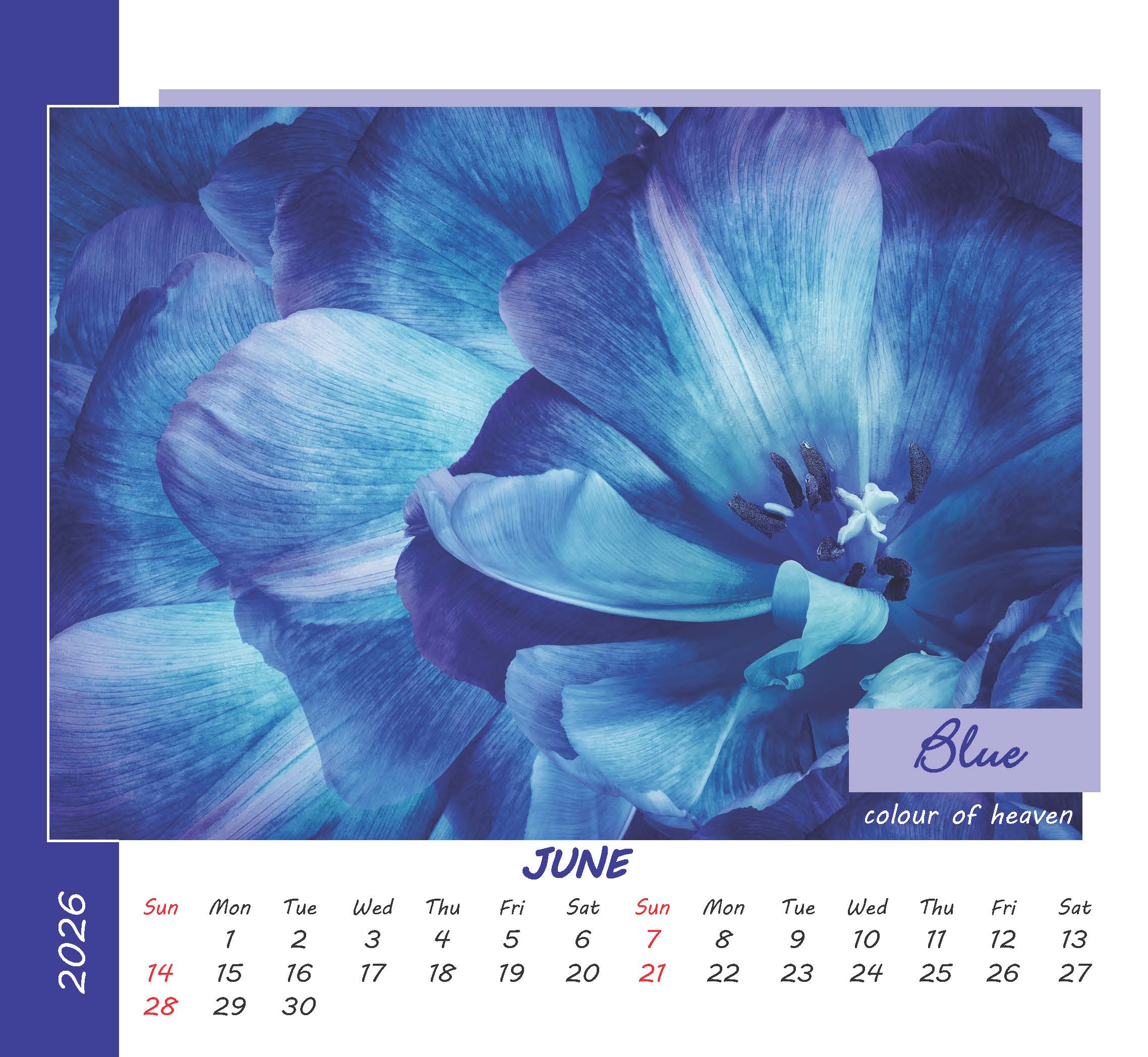 Colours of Life thumbnail 7