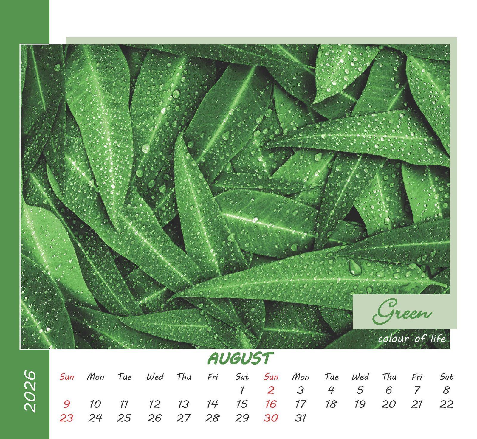 Colours of Life thumbnail 9