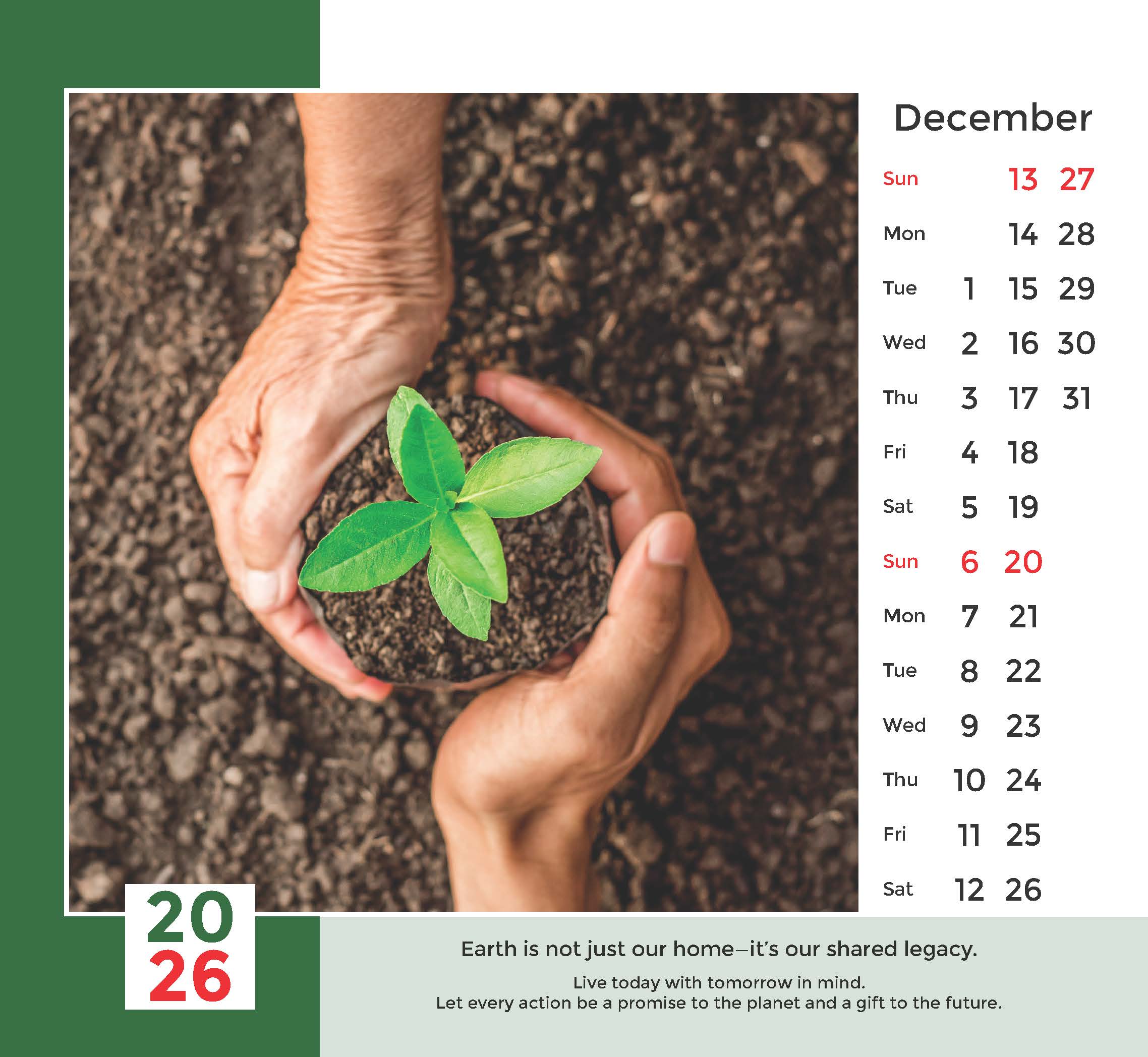 Save the Environment thumbnail 13