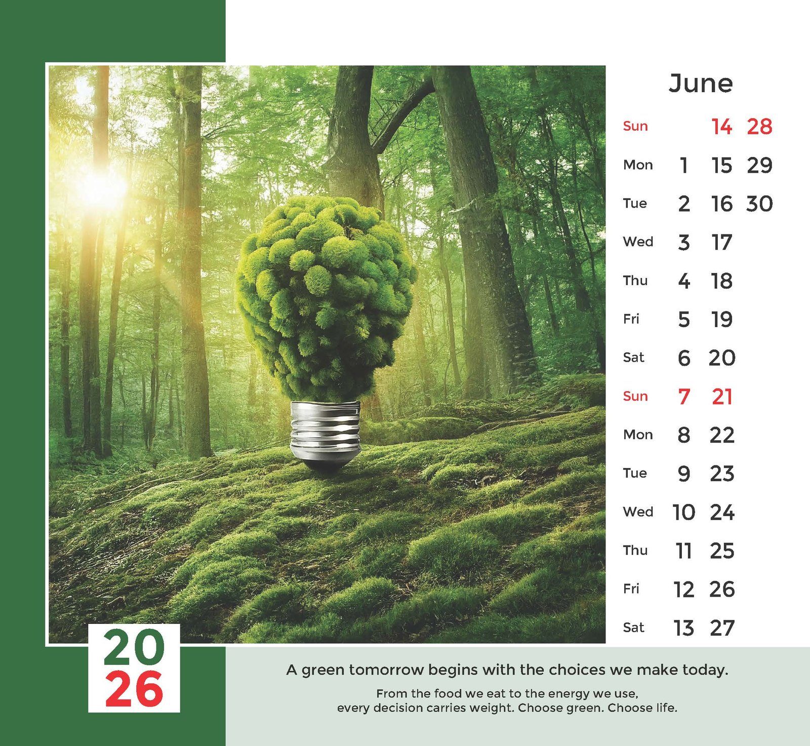 Save the Environment thumbnail 7