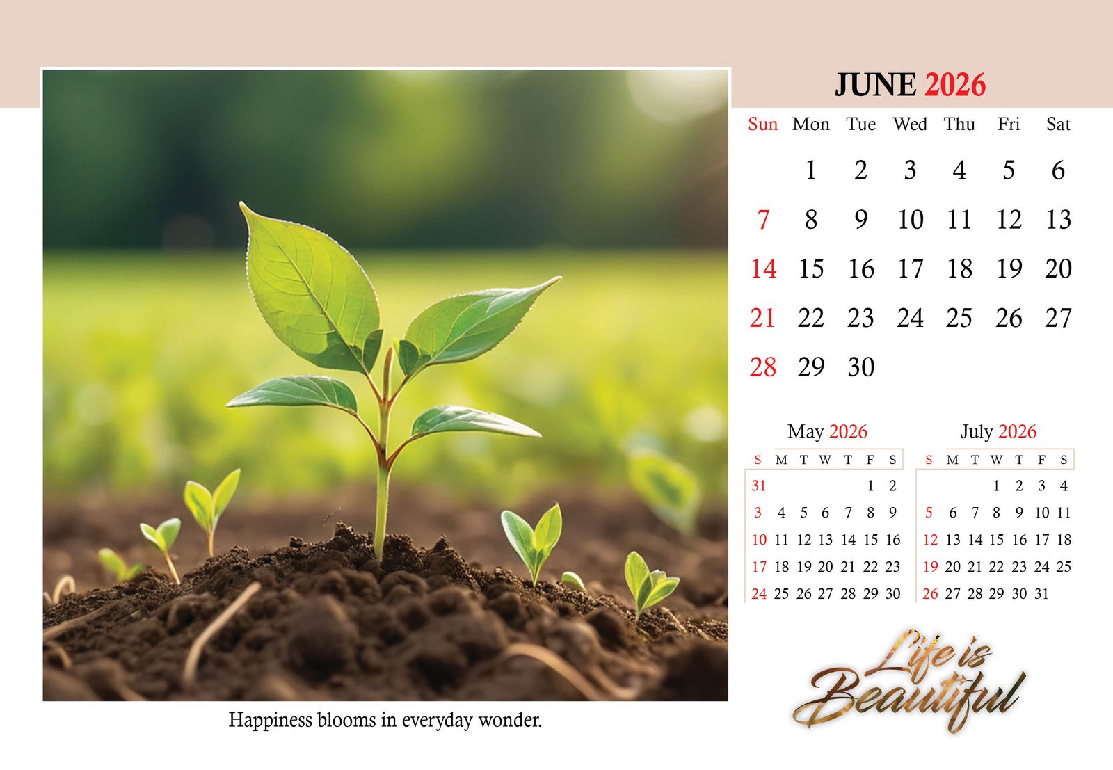 Life is Beautiful thumbnail 7