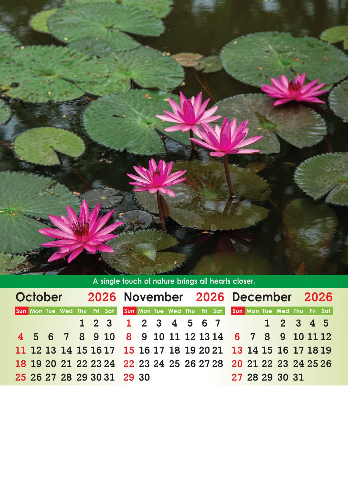 Beautiful Nature thumbnail 4