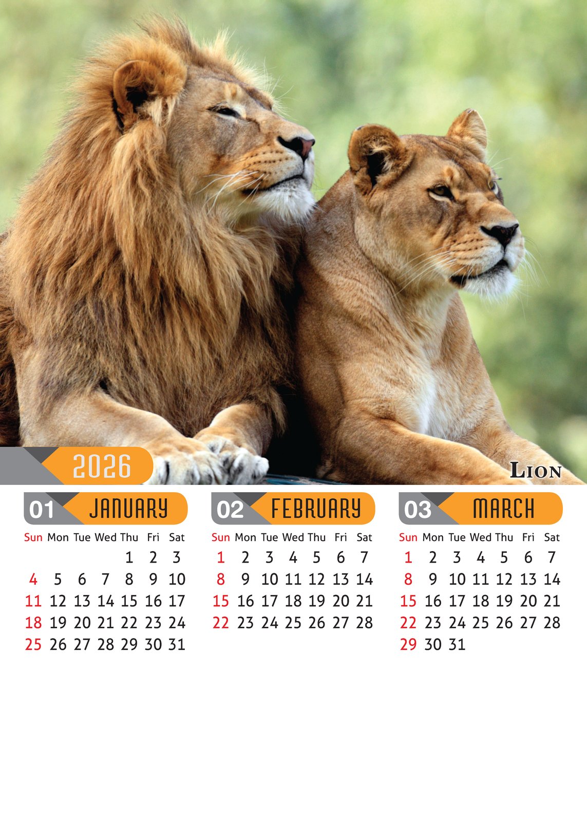 Safari Animals Wall Calendar