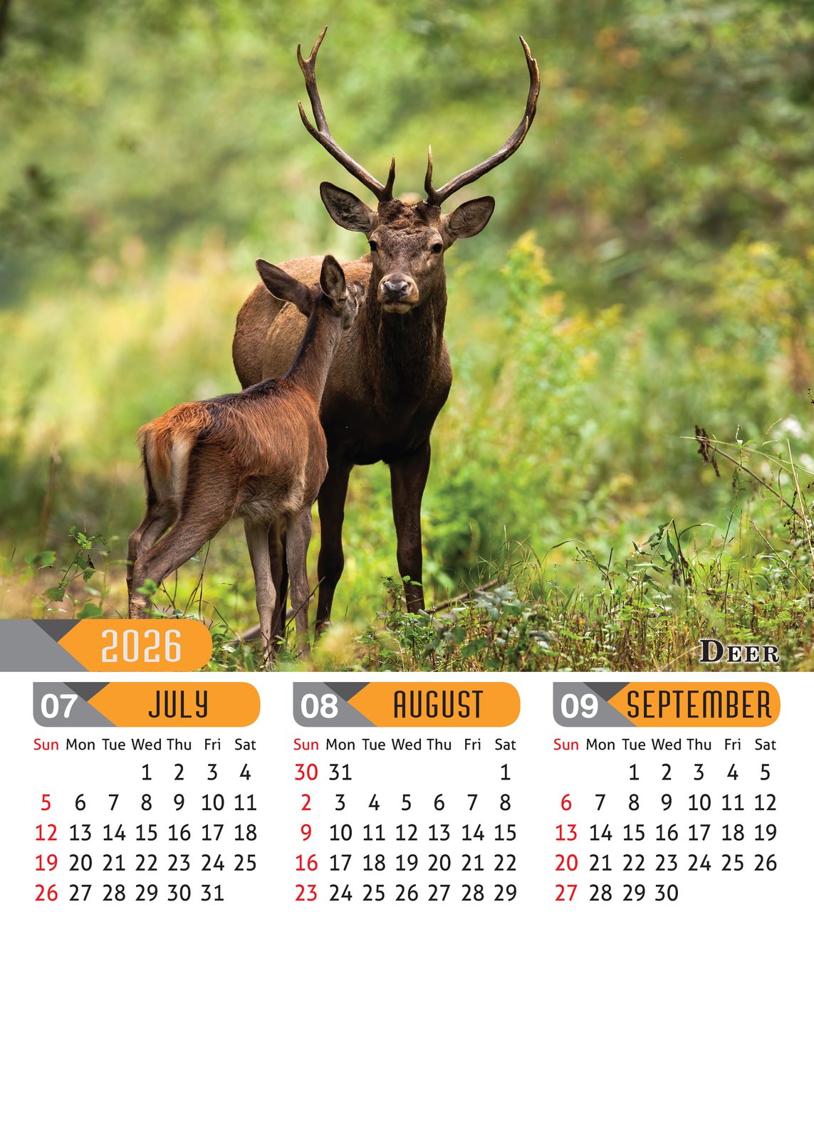 Safari Animals thumbnail 3