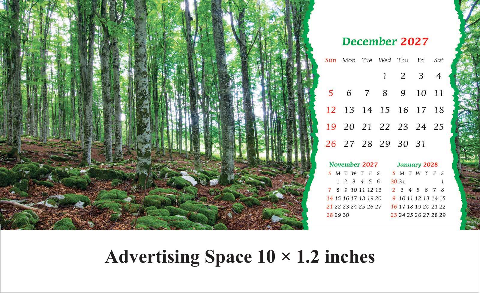 Nature Big Table Calendar thumbnail 13