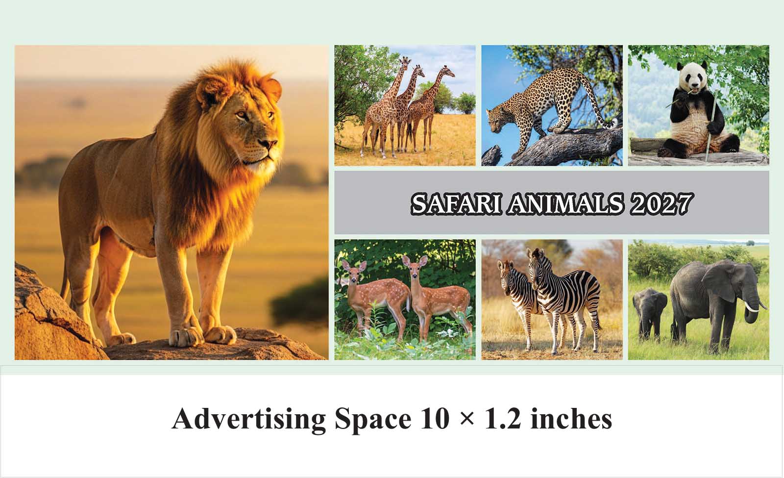 Safari Animals Desk Calendar