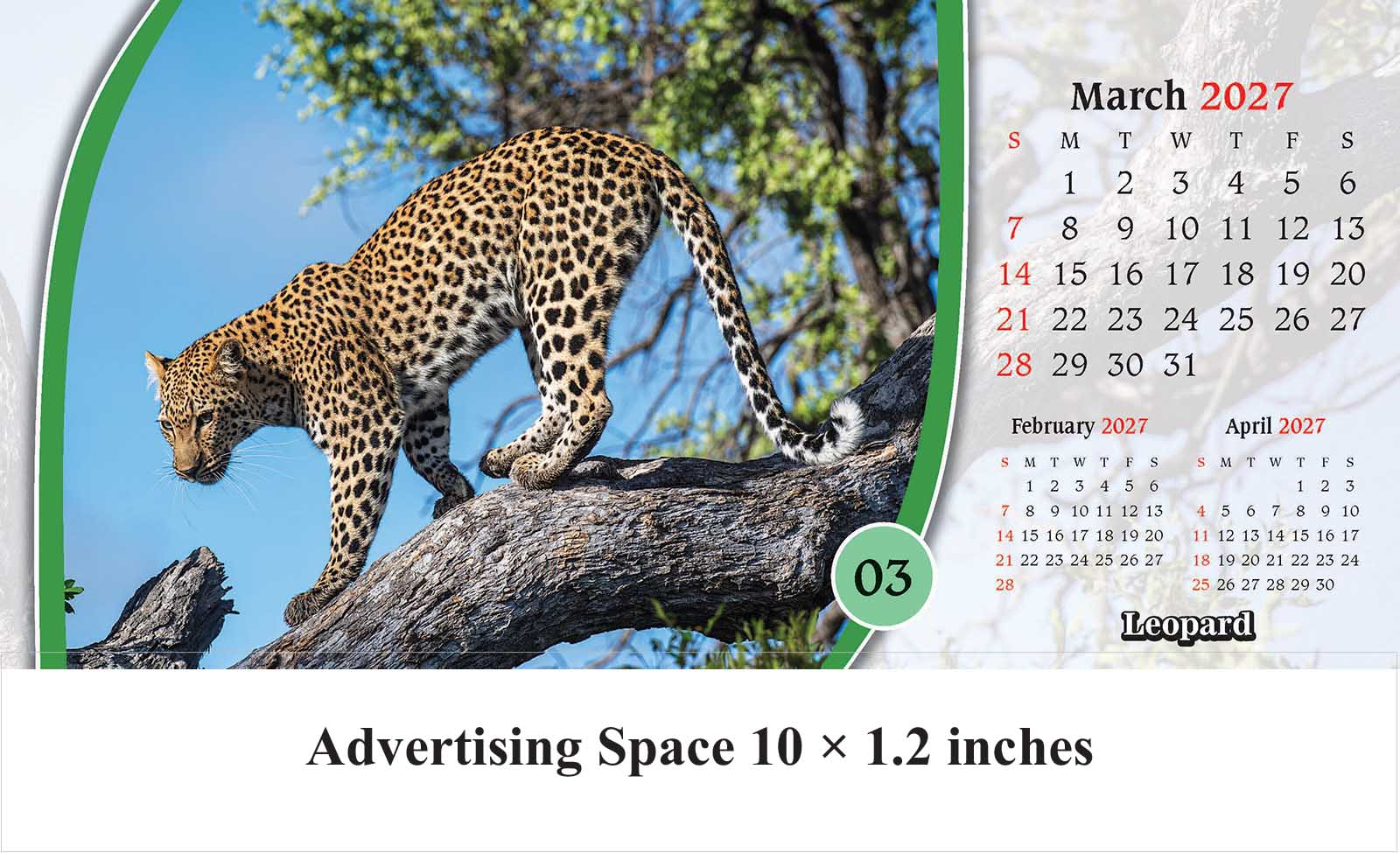 Safari Animals Desk Calendar thumbnail 4