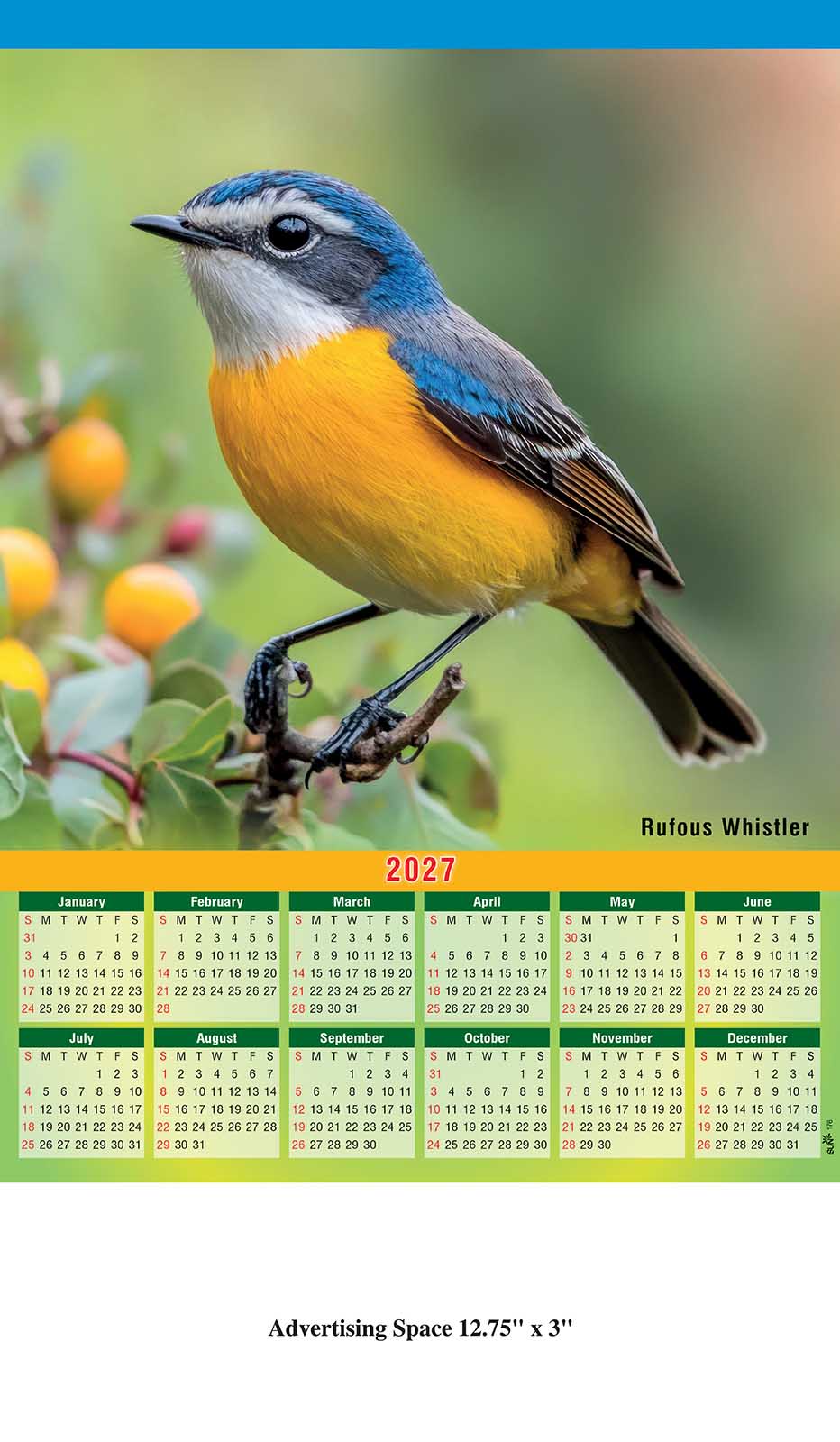 Birds Wall Calendar