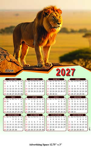 Safari Animals - Lion Wall Calendar