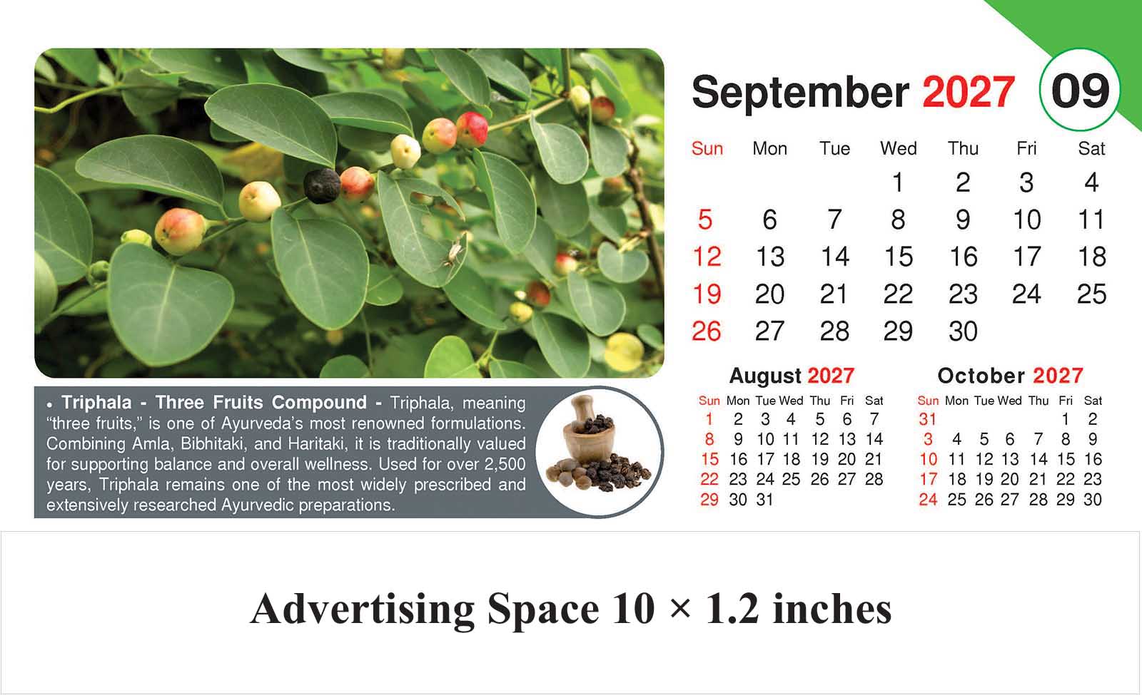 Healing Herb - Health Desk Calendar thumbnail 10