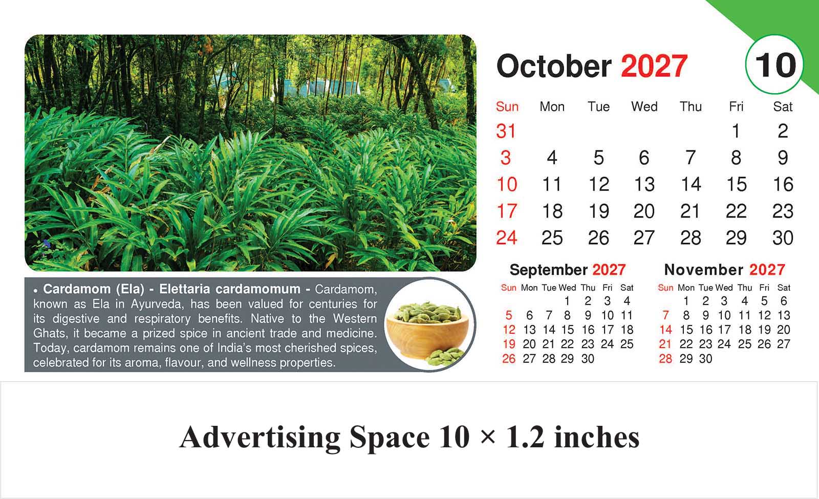 Healing Herb - Health Desk Calendar thumbnail 11