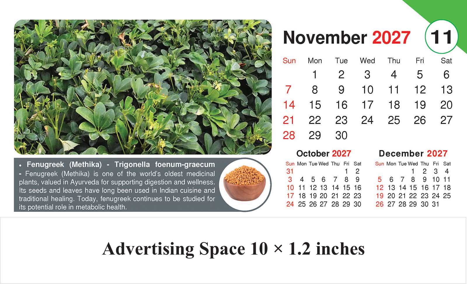 Healing Herb - Health Desk Calendar thumbnail 12
