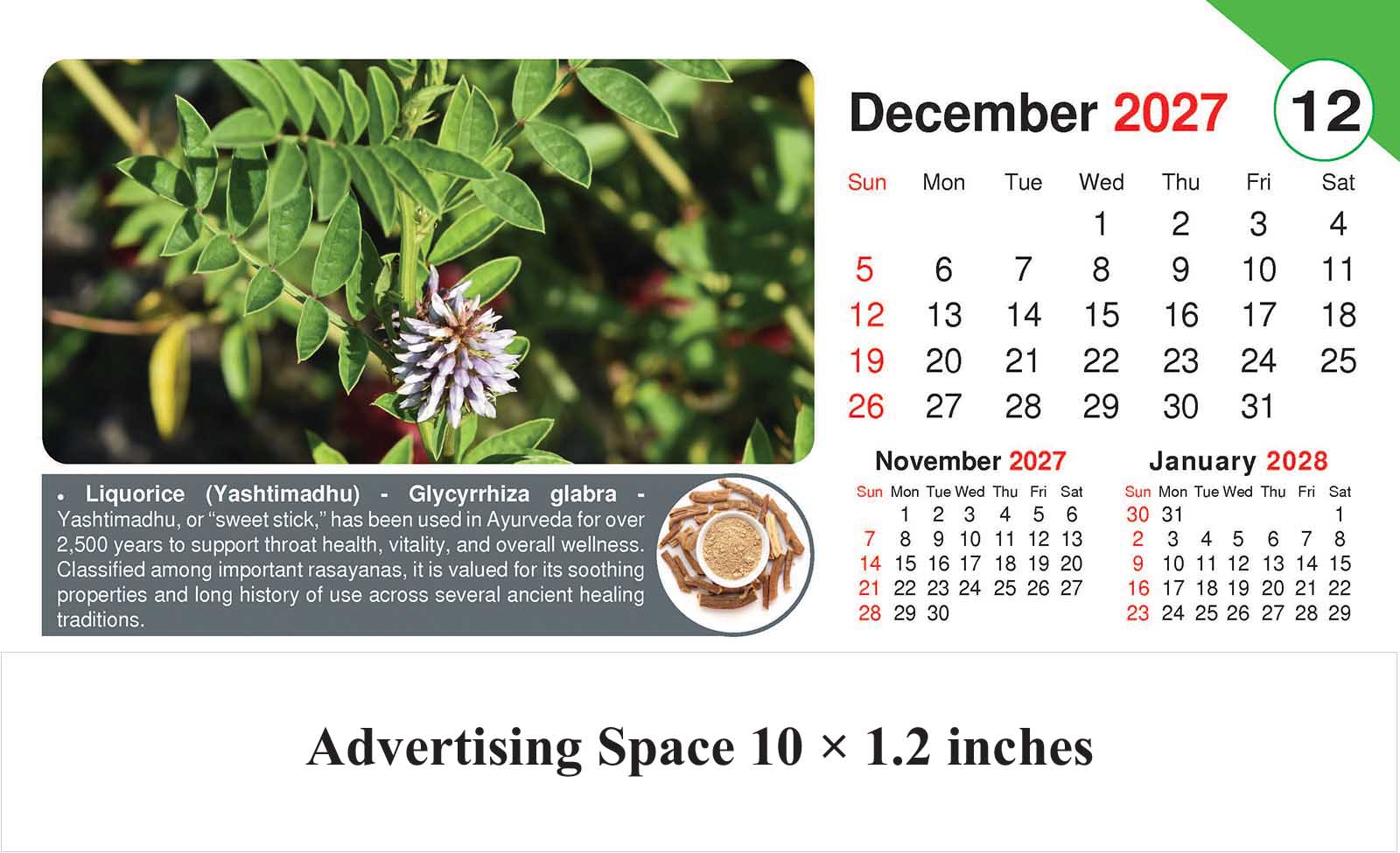 Healing Herb - Health Desk Calendar thumbnail 13