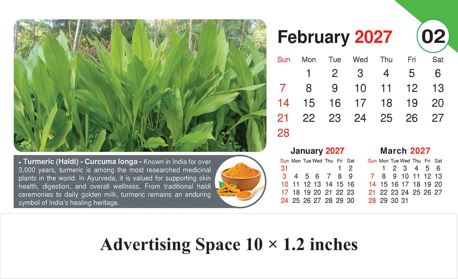 Healing Herb - Health Desk Calendar thumbnail 3