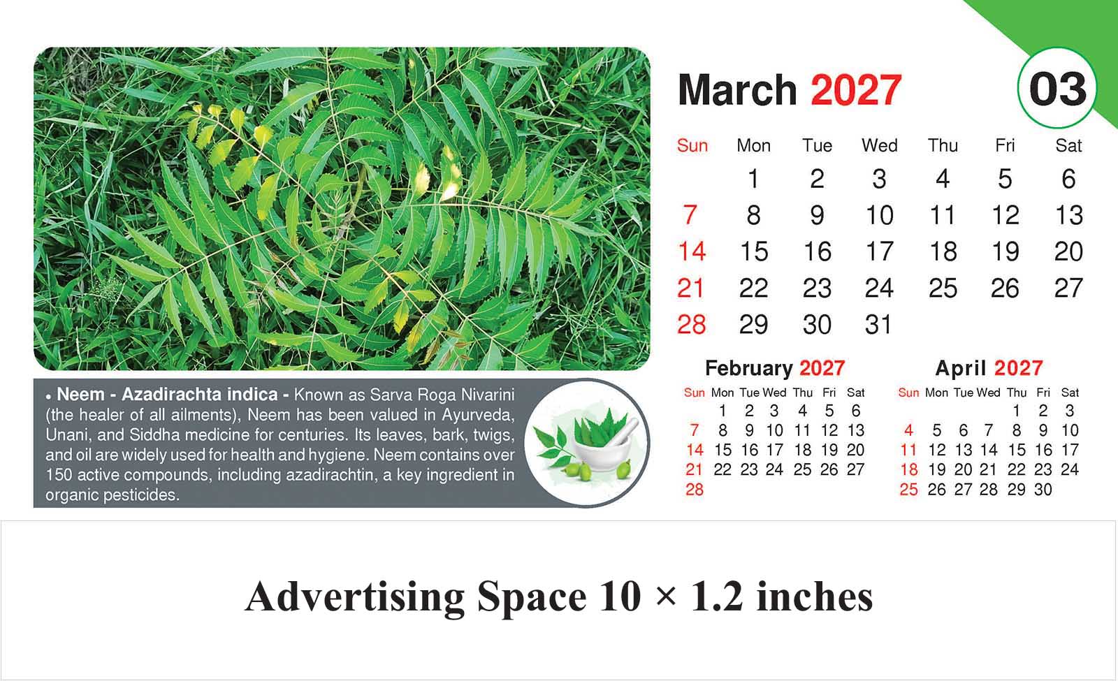 Healing Herb - Health Desk Calendar thumbnail 4