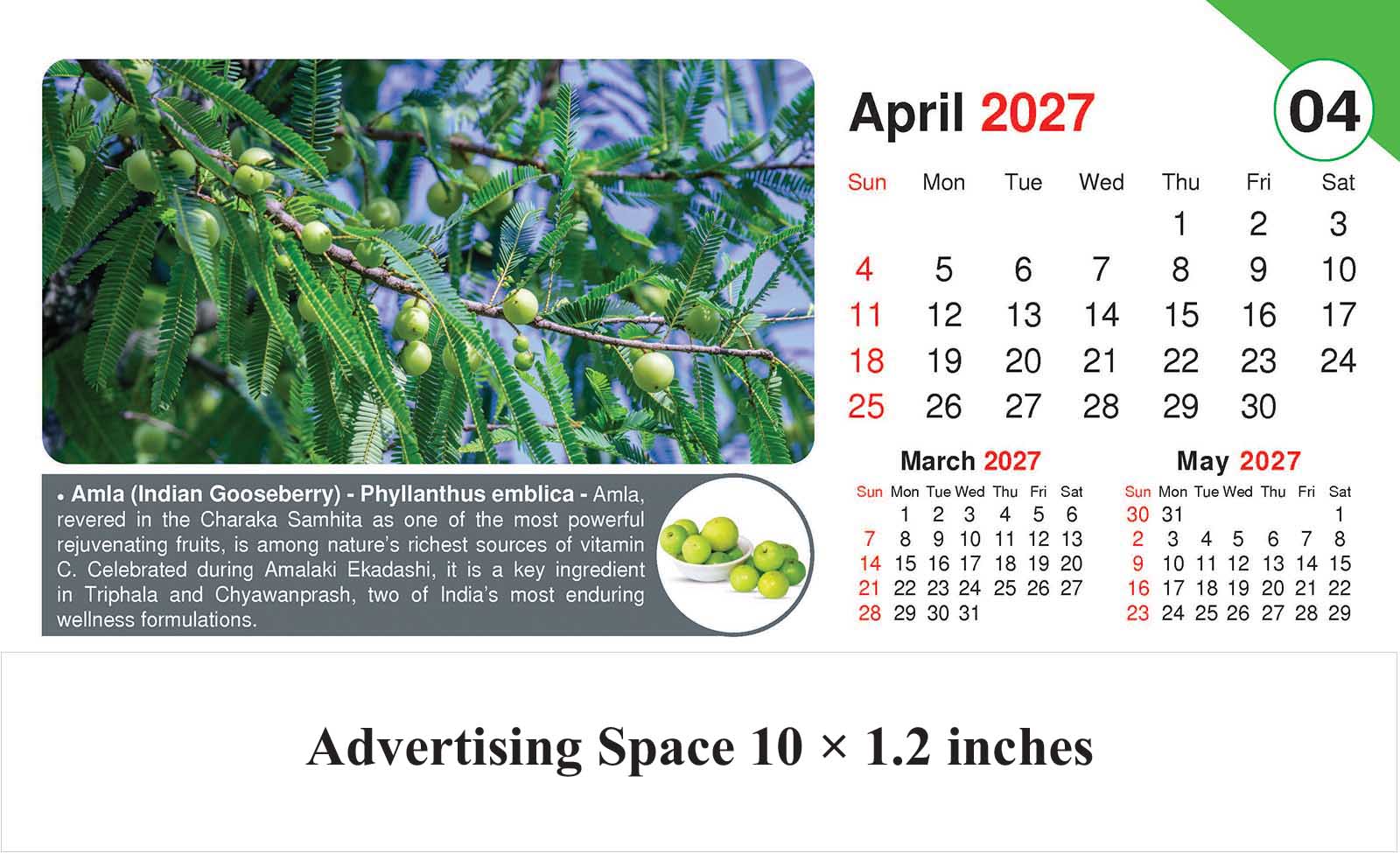 Healing Herb - Health Desk Calendar thumbnail 5