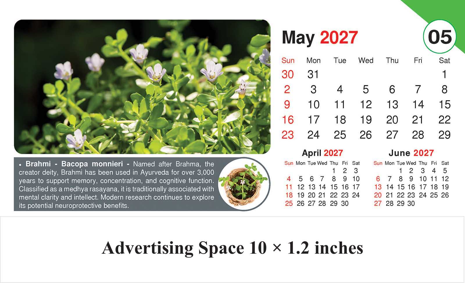 Healing Herb - Health Desk Calendar thumbnail 6