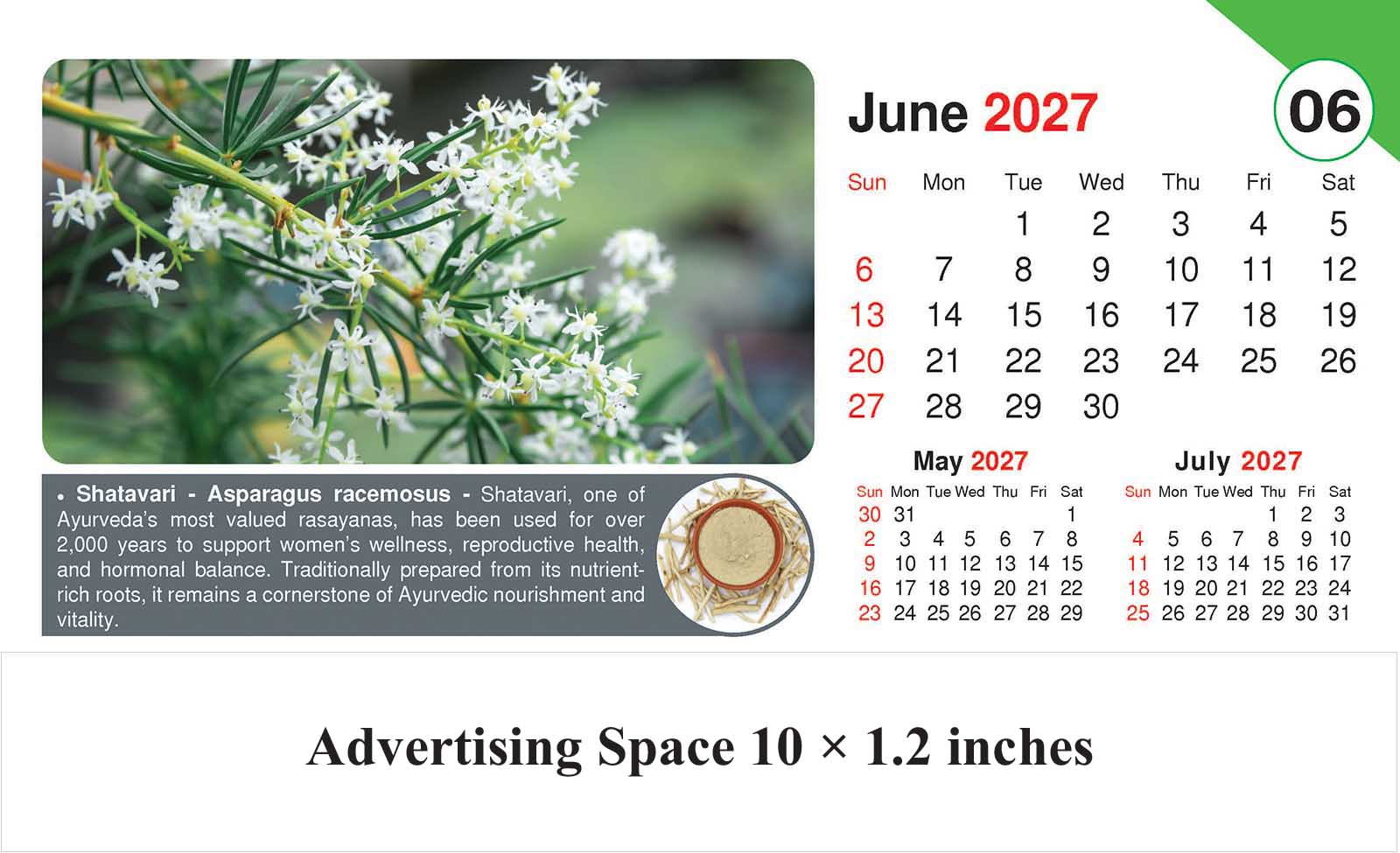 Healing Herb - Health Desk Calendar thumbnail 7