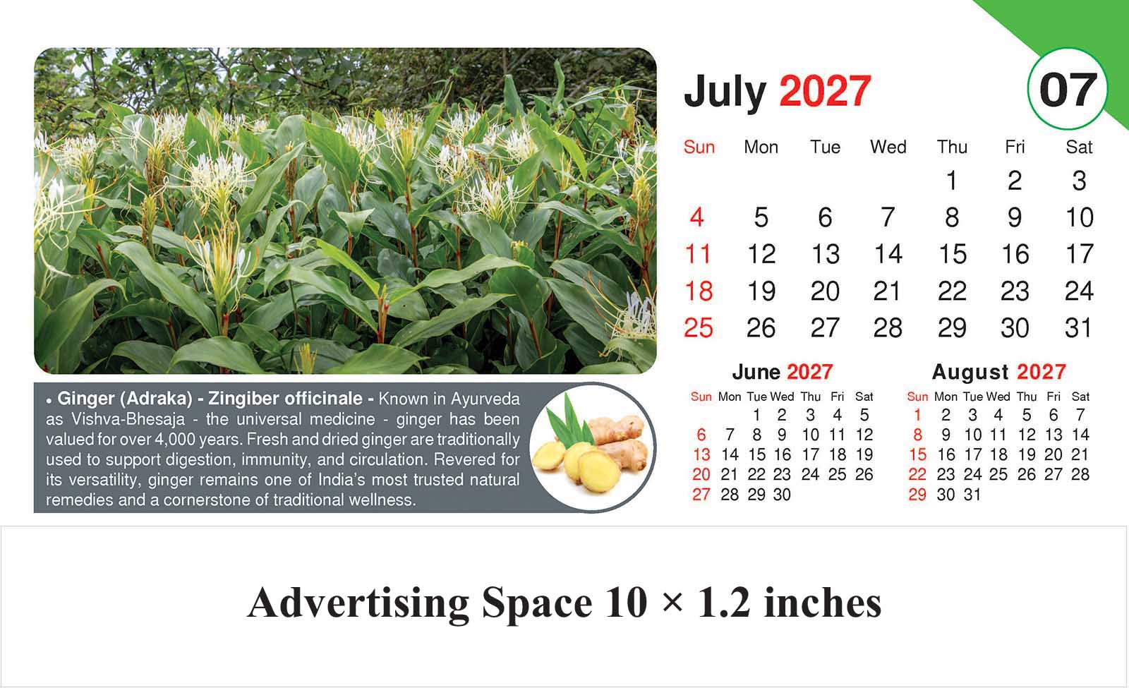 Healing Herb - Health Desk Calendar thumbnail 8