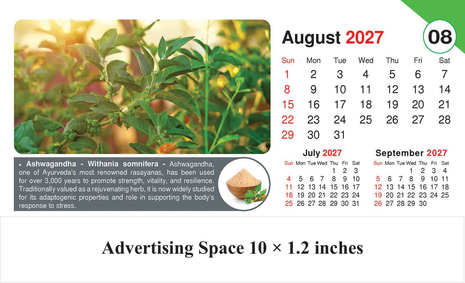 Healing Herb - Health Desk Calendar thumbnail 9